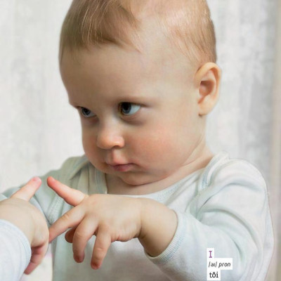 Học Tự Vựng Tiếng Anh Qua Hình Và Ví Dụ Minh Họa