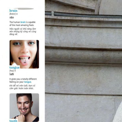 Học Tự Vựng Tiếng Anh Qua Hình Và Ví Dụ Minh Họa