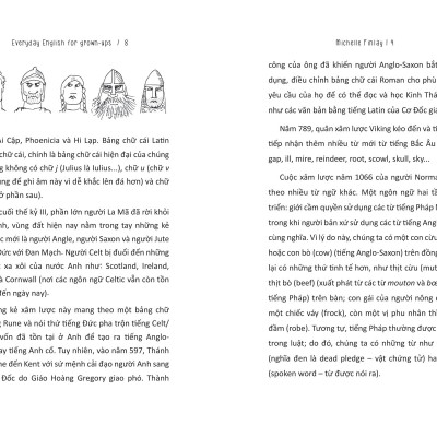 Sách Everyday English For Grown-Ups - Tự Học Tiếng Anh Cho Người Bận Rộn _AZ