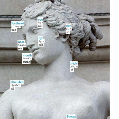 Học Tự Vựng Tiếng Anh Qua Hình Và Ví Dụ Minh Họa