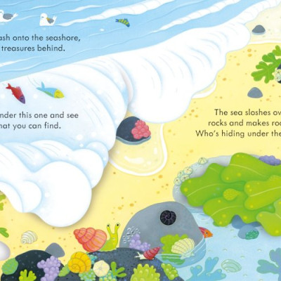 Sách tương tác thiếu nhi tiếng Anh: Peep Inside The Seashore