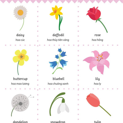 Cẩm Nang Từ Vựng Tiếng Anh Cho Trẻ Em