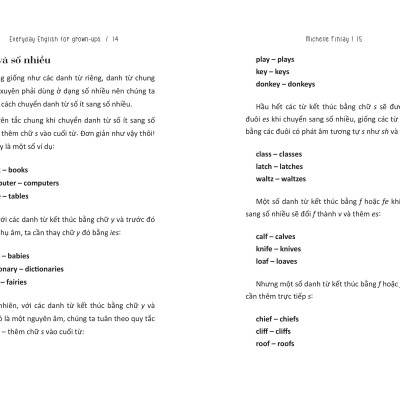 Sách Everyday English For Grown-Ups - Tự Học Tiếng Anh Cho Người Bận Rộn _AZ