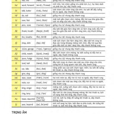 Học Tự Vựng Tiếng Anh Qua Hình Và Ví Dụ Minh Họa