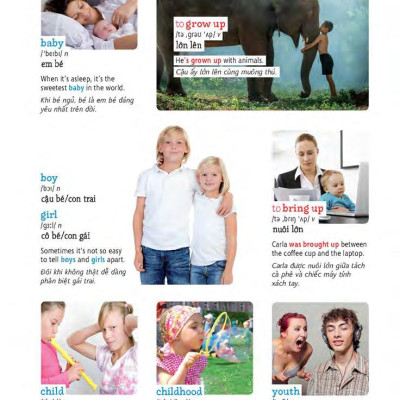 Học Tự Vựng Tiếng Anh Qua Hình Và Ví Dụ Minh Họa