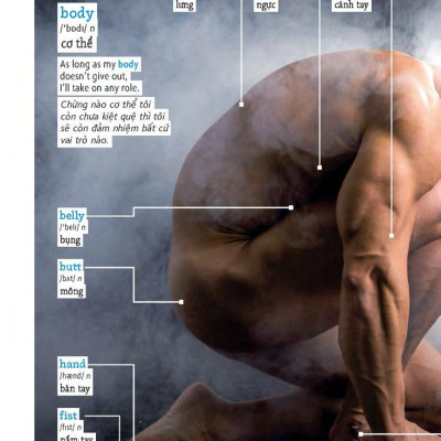 Học Tự Vựng Tiếng Anh Qua Hình Và Ví Dụ Minh Họa