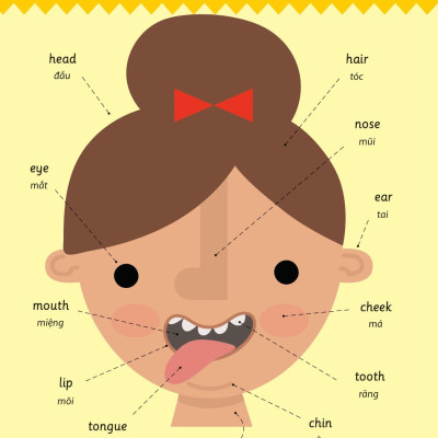 Cẩm Nang Từ Vựng Tiếng Anh Cho Trẻ Em