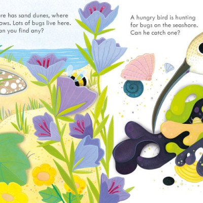 Sách tương tác thiếu nhi tiếng Anh: Peep Inside The Seashore