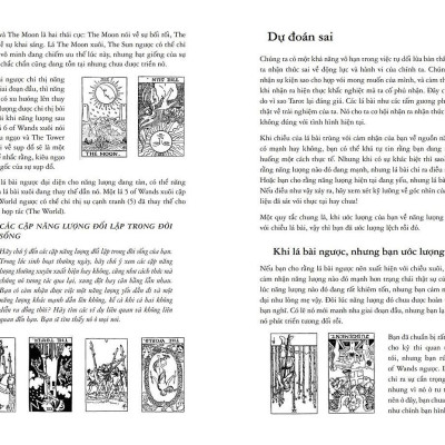 Học Tarot Cho Người Mới