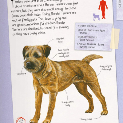 Dogs Handbook