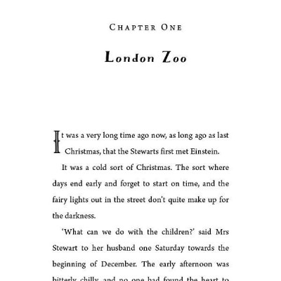 Einstein The Penguin