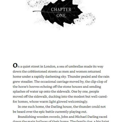 Peter Pan & Wendy Junior Novelization