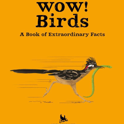 Wow! Birds