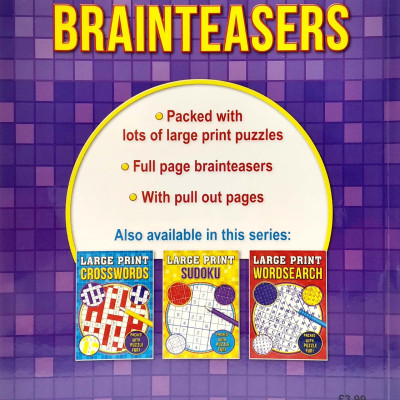 Large Print Brainteasers