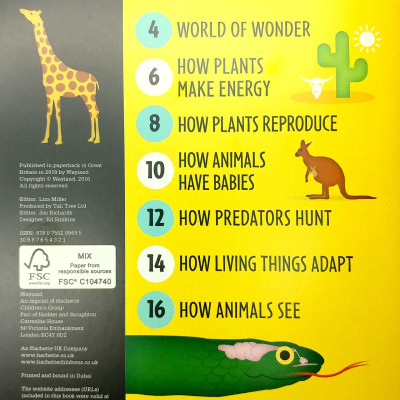 Life On Earth (Infographics: How It Works)