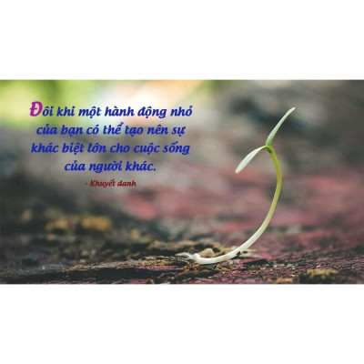 Gieo niềm tin cuộc sống (Tái bản 2021) Bản Quyền