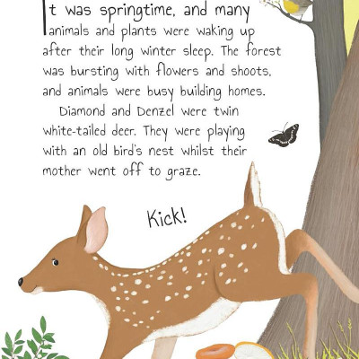 Tales From The Forest