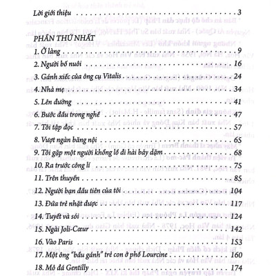 Không Gia Đình (Tái Bản 2022)