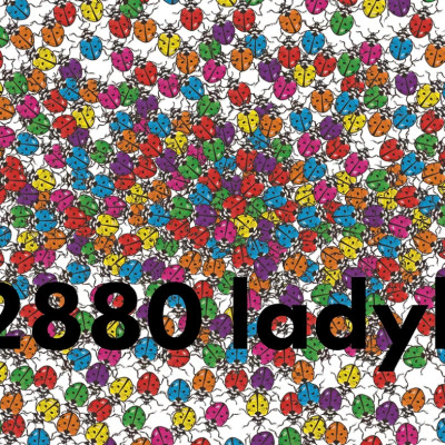 How Much Does A Ladybird Weigh?