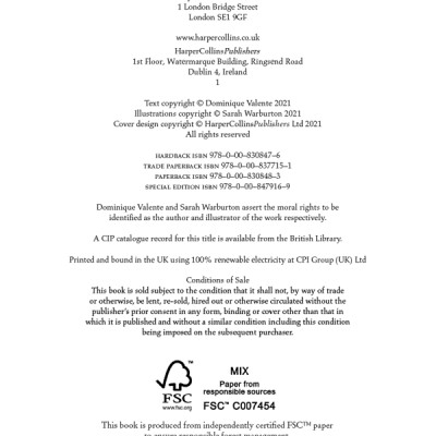 Starfell 3: Willow Moss And The Vanished Kingdom