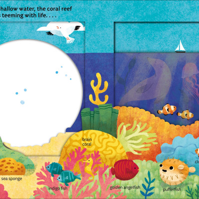 Look Closer: Under The Ocean