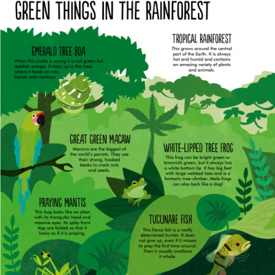 Facts: Essential Knowledge For Curious Kids