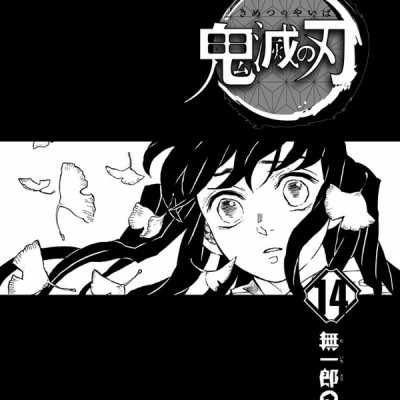 鬼滅の刃 14 - ONI METSU NO HA 14