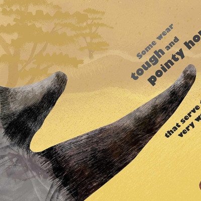 Feathers And Hair, What Animals Wear