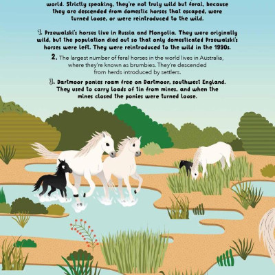 Lists For Curious Kids: Animals: 206 Fun, Fascinating And Fact-Filled Lists