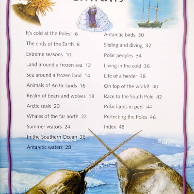 100 Facts Polar Lands