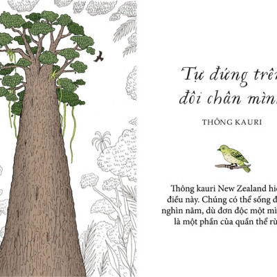 Sách - Sống như những cái cây