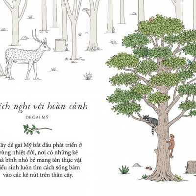 Sách - Sống như những cái cây