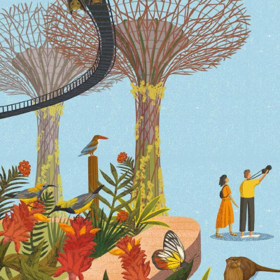 Wild City: Meet The Animals Who Share Our City Spaces