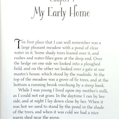 Mini Classics - Black Beauty