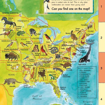 First Animal Picture Atlas