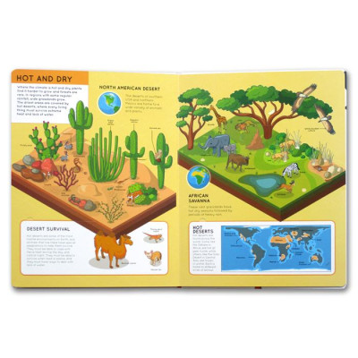 Lift The Flaps: Animals