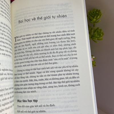 GIÁO DỤC TỈNH THỨC - Daniel Rechtschaffen – Kiều Anh Tú dịch – Thái Hà