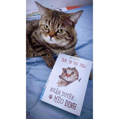 Talk To The Paw Nhân Duyên Mèo Định - Bản Quyền