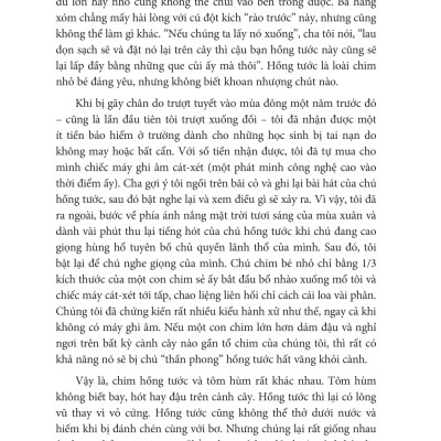 12 Quy Luật Cuộc Đời: Thần Dược Cho Cuộc Sống Hiện Đại - Jor dan B Peterson