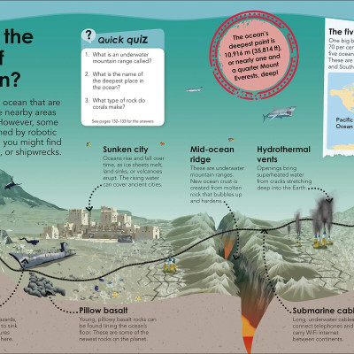 Why Does The Earth Need The Moon?: With 200 Amazing Questions About Our Planet