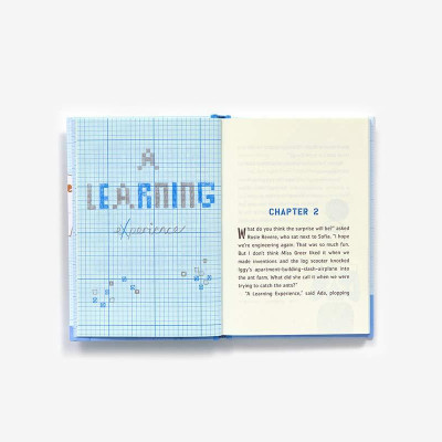 Sofia Valdez And The Vanishing Vote: The Questioneers Book #4