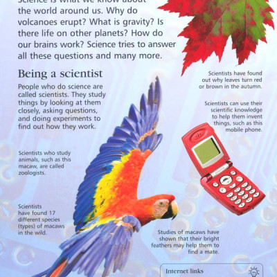 Sách tiếng Anh - Usborne First Encyclopedia of Science