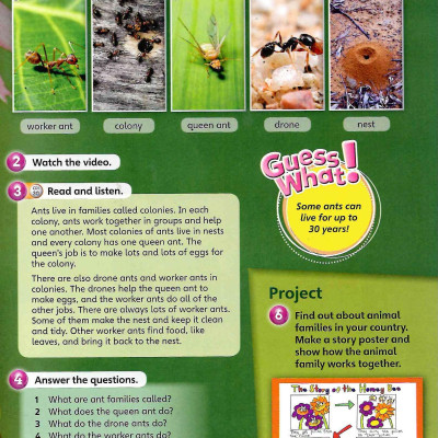 Guess What! Level 5 Pupil