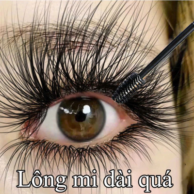 TinhDầu Dưỡg LôngMi Từ Thảo Dược – Giúp Mi Dài, Cong, ĐẹpTự Nhiên Tại Nhà , đèn ốp trần