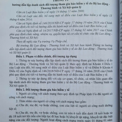 Sách Luật Bảo Hiểm Y Tế sửa đổi bổ sung năm 2024 – Hệ Thống Các Văn Bản Quy Định Chi Tiết Thi Hành (V2529T)