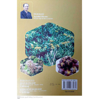 Sách - Cách Trồng Cây Dẻ Ăn Hạt - NXB Nông Nghiệp