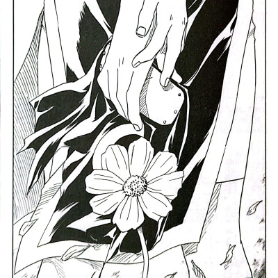 Sách - Naruto - Tập 9 - Neji Và Hinata (Tái Bản 2025)