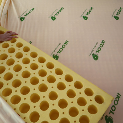 Nệm Cao Su Ikool9 Massage Latex