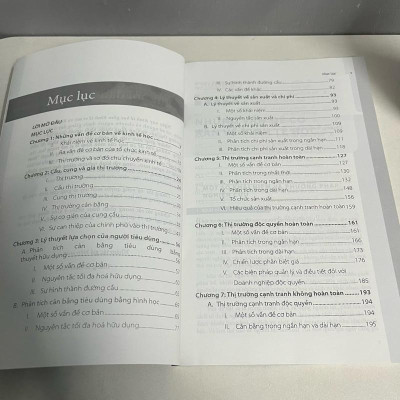 Sách - Kinh Tế Vi Mô (Trường ĐH Kinh Tế TP. Hồ Chí Minh)