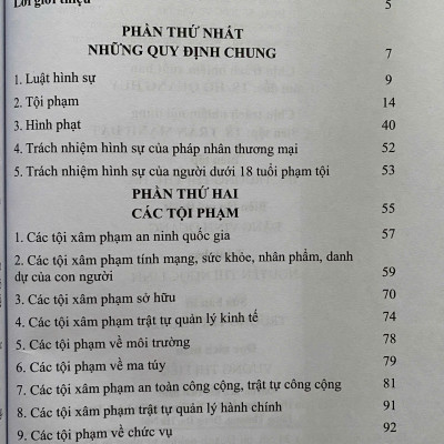 Mô Hình Luật Hình Sự Việt Nam